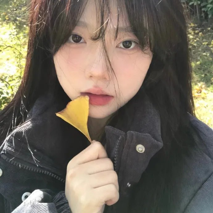 永远的帕拉迪索